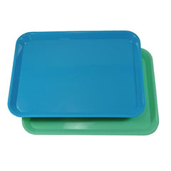 Instrument Tray Green or Blue 37cmx26cm